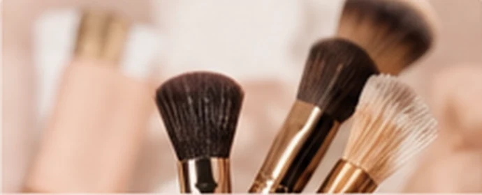 Brochas de maquillaje profesional